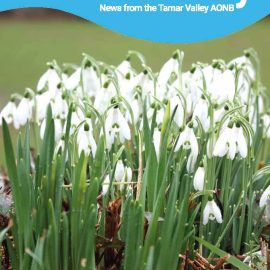 Tamar Valley Winter newsletter/magazine
