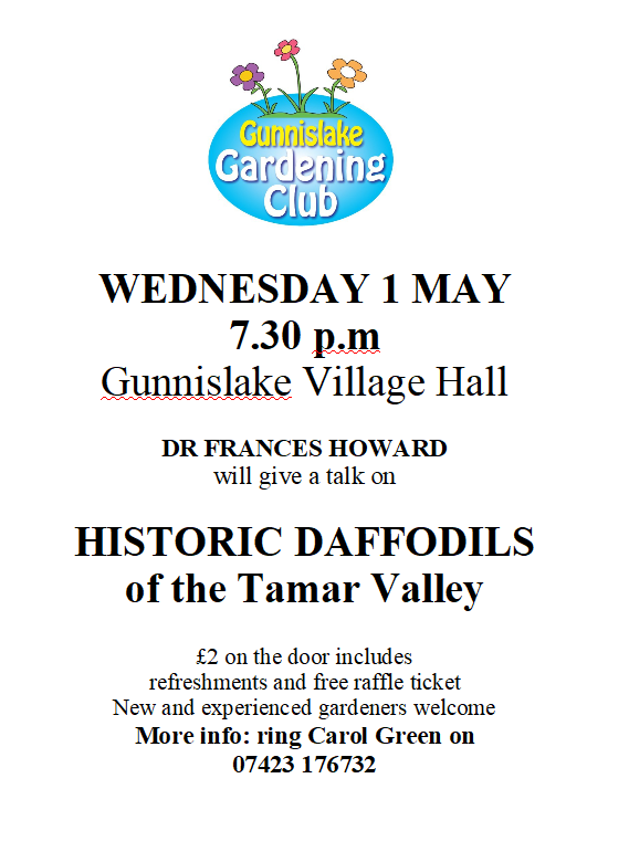 Gunnislake Gardening Club – Historic Daffodils of the Tamar Valley